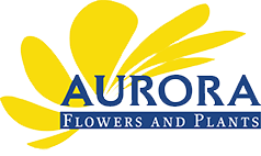 logo-Aurora-Flowers